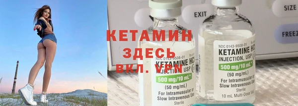 шишки Горняк