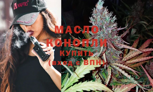 шишки Горняк