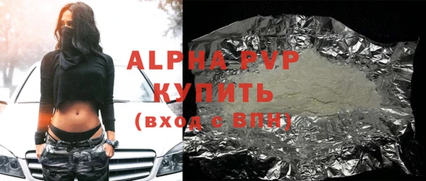 шишки Горняк