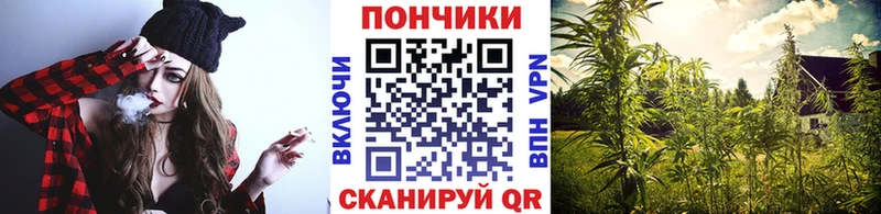 Бошки марихуана марихуана  гидра сайт  Кушва 