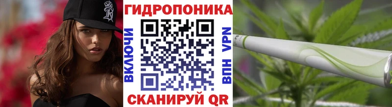 Конопля марихуана Кушва